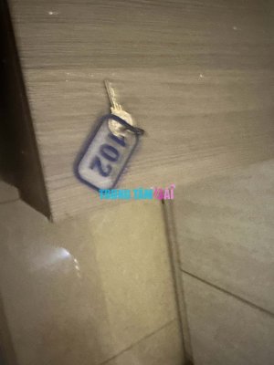 review-of-thu-dau-mot-for-reup-thanh-hang-thanh-nu-sieu-dam-service-dinh-cua-dinh-2995042-orig...jpg