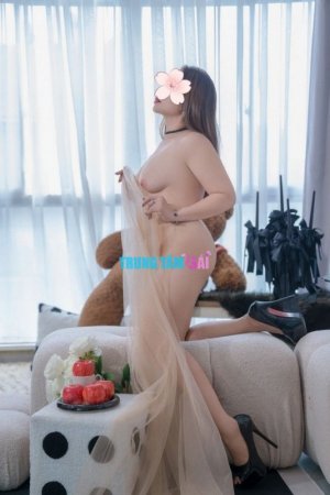 976120.jpg