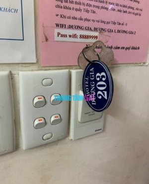 47409_3.jpg
