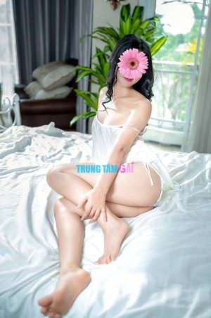 1313048.jpg